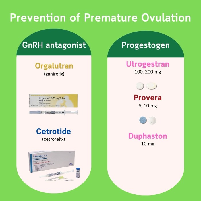 조기 배란 방지 — GnRH 길항제(Orgalutran, Cetrotide)와 프로게스토겐(Utrogestran, Provera, Duphaston)